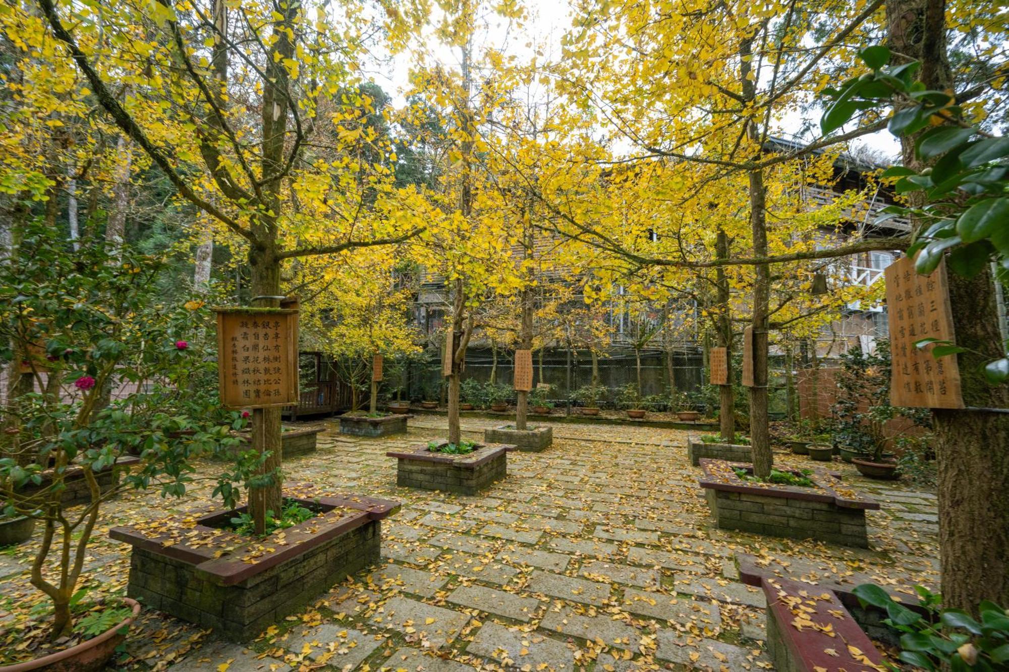 Ginkgo Hotel Lugu Exteriér fotografie